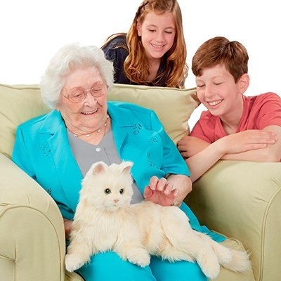 Robotic Cat Designed to Meet the Emotional Needs of an Elderly Person
