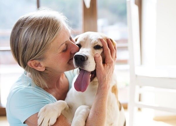 Why Seniors Should Adopt Older Dogs