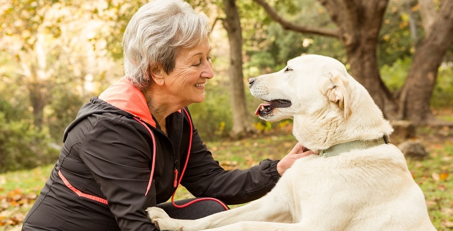Should Seniors Own Pets?&nbsp; Pros, Cons &amp; FAQs