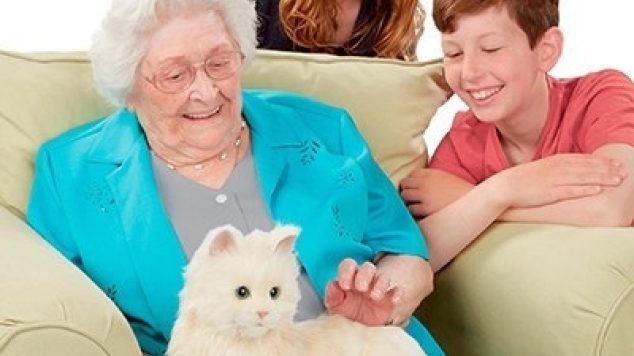 Robotic Cat Designed to Meet the Emotional Needs of an Elderly Person