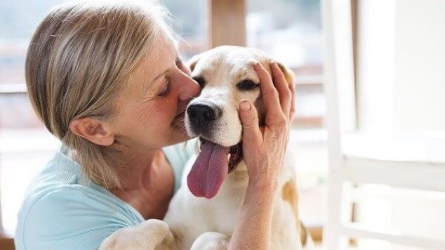 Why Seniors Should Adopt Older Dogs