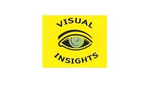 Visual Insights