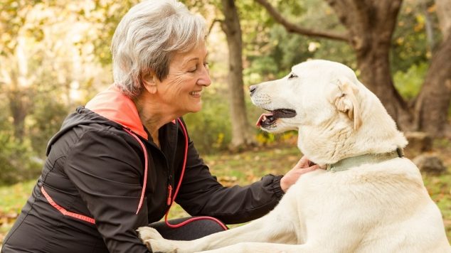 Should Seniors Own Pets?&nbsp; Pros, Cons &amp; FAQs